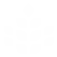 dynamic-image